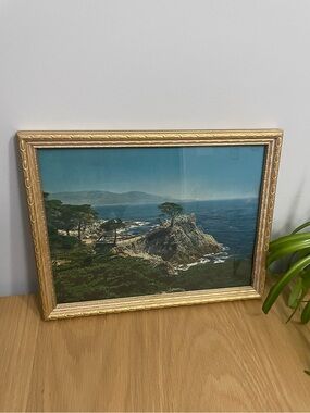 Vintage Lone Cypress Landscape Hand-tinted Photograph Gold Wooden Frame